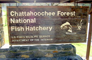  Chatt Fish Hatch Sign