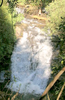 Top of Cooper Creek Waterfalls