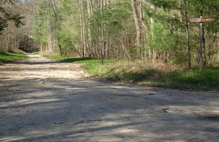 Cooper Creek Road