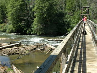 Swinging Bridge Cable West View